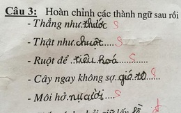 "Cười chảy nước mắt" với bài tập tiếng Việt của học sinh tiểu học