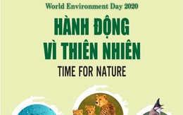 Hành động vì thiên nhiên' hưởng ứng Ngày Môi trường thế giới