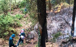 Nghệ An: Triệu tập một phụ nữ liên quan đến vụ cháy rừng hơn 1000 người phải đến dập lửa