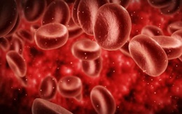 Tại sao Lipidcleanz giúp hạ mỡ máu an toàn, hiệu quả?