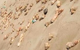 Bí ẩn hàng nghìn chân giò lợn dạt vào bờ biển Trung Quốc