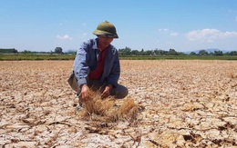 Thanh Hóa: Cận cảnh hình ảnh nứt nẻ của những đồng lúa “giãy chết” trong đại hạn