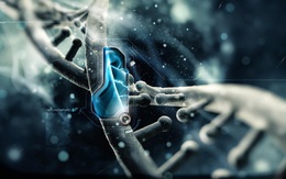 Nano lượng tử - “cuộc cách mạng” cho sản phẩm hỗ trợ điều trị bệnh dạ dày