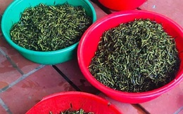 Gần 300.000 đồng một kg châu chấu