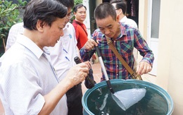 Hơn 1.000 người ở Hà Nội mắc sốt xuất huyết