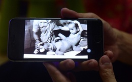 Nguyễn Đức: 'Tôi thấy mình và anh Việt trong hình ảnh của song Nhi'