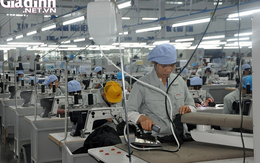 Quảng Ninh: Những kết quả khả quan trong công tác giải quyết việc làm