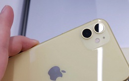 iPhone 11 xách tay giá rẻ tràn về Việt Nam nhưng bạn không nên mua