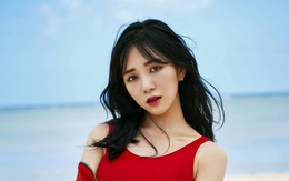 Nữ thần tượng Hàn nhiều lần tự tử vì bị bắt nạt suốt 10 năm