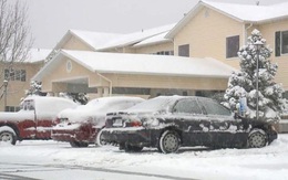 Cụ bà qua đời, cảnh sát tìm thấy thi thể chồng bà nằm trong tủ đông suốt 10 năm cùng lá thư tuyệt mệnh mở ra vụ án uẩn khúc