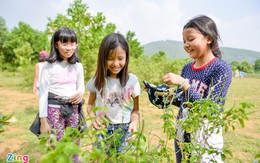 Hà Nội thêm ca nhiễm mới, trường học đồng loạt lùi lịch tựu trường