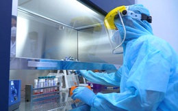VIDEO: Bên trong phòng xét nghiệm RT-PCR do Viện Paster TP HCM vừa thiết lập tại BV 199 Đà Nẵng