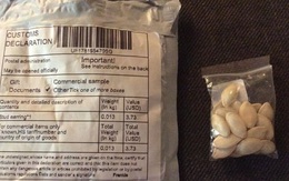 Hạt giống bí ẩn từ TQ lan khắp nhiều nước gây lo ngại 'hủy diệt'