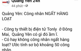 Đăng thông tin không đúng sự thật, quản trị trang "Quảng Yên 24h" bị phạt 7,5 triệu đồng