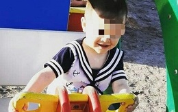 Bé trai bị cha dượng sát hại dã man chỉ bởi một chú vịt, nghi phạm khác là anh trai 6 tuổi của nạn nhân gây chú ý hơn