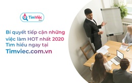 Timviec.com.vn chia sẻ lời khuyên tìm việc làm hiệu quả