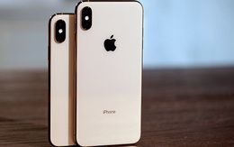 iPhone giảm giá tới 5 triệu, phiên bản 'quốc dân' về mức bình dân nhất tháng 8