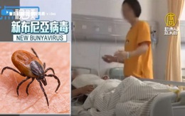 Virus Bunya bùng phát ở Trung Quốc: Đã xuất hiện từ 10 năm trước, gây chết người, lây bệnh qua máu và vết thương hở