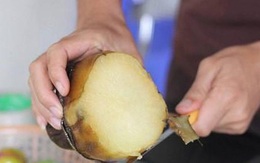 Rộ mùa khoai sâm Lào Cai: Thơm mùi nhân sâm nhưng giá rẻ như khoai lang