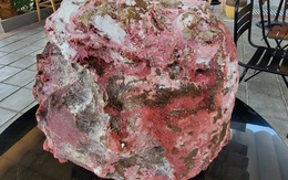 Tìm được 2 khối đá nghi là "báu vật" long diên hương trên biển Quảng Ngãi
