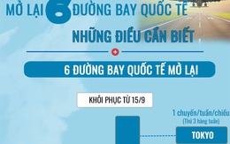 [Infographic] - Có gì đặc biệt ở 6 đường bay quốc tế Việt Nam vừa mở lại