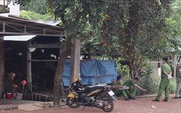 Người đàn ông đâm chết vợ cũ vì đi nhậu không về trông cháu
