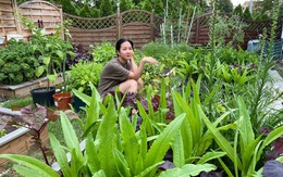 Ngôi nhà giữa đô thị náo nhiệt vẫn an yên, thư thái nhờ khu vườn phủ đầy rau sạch và hoa tươi của mẹ Việt