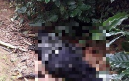 Vụ 3 mẹ con cô giáo bị bắn thương vong ngày mùng 2 Tết: Nghi phạm chết bên khẩu súng, để lại thư tuyệt mệnh