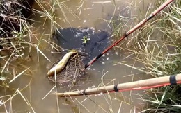 Điều tra vụ người đàn ông chết thảm khi đánh cá bằng kích điện ở rừng U Minh