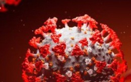 Một bệnh nhân nhiễm virus trong 49 ngày nhưng có rất ít triệu chứng