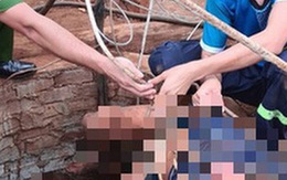Tảo giếng bị ngạt khí, 2 người chết