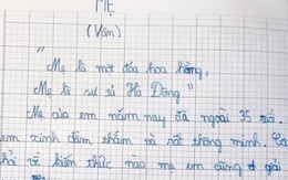 Cậu bé làm văn tả mẹ 'như phù thuỷ' khiến dân mạng cười ngất