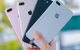 iPhone qua sử dụng đồng loạt giảm giá dịp gần Tết