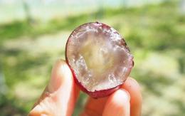 Loại nho được cả phụ nữ lẫn đàn ông săn lùng, lý do rất đặc biệt