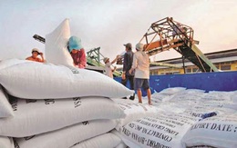 Việt Nam có hơn 200 doanh nghiệp đủ điều kiện xuất khẩu gạo