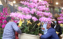 Hà Nội: Người dân nườm nượp mua sắm Tết sớm tại chợ hoa Vạn Phúc