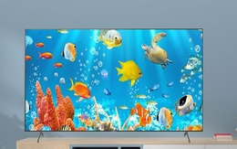 Dưới 20 triệu đồng, chọn mua TV nào trong dịp cận Tết?