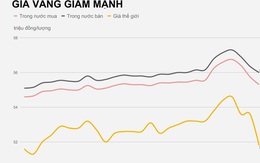 Người mua vàng lỗ 1,6 triệu/lượng sau hai ngày