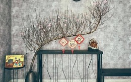 Đào dáng huyền tăng giá từng ngày lên 4-5 triệu đồng/cành, chặt cả nghìn cành vẫn "cung không đủ cầu"