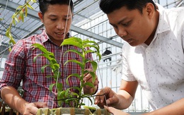 Choáng ngợp trước vườn lan đột biến 80 tỷ ở Cần Thơ