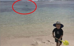 Để con chơi trên bờ rồi xuống lặn biển, ông bố chết bí ẩn trước khi bị cá mập ăn thịt, tấm ảnh cuối cùng cậu bé được chụp với bố gây ám ảnh khôn nguôi