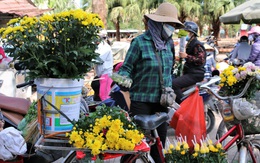 Xuân đã về ở tâm dịch Chí Linh
