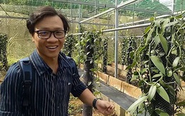 Trồng cây lạ, 4 năm mới ra hoa, hoa chỉ nở 1 ngày, 9 tháng trái mới chín bán đắt như vàng