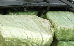 'Ôm' 6 bánh ma túy cố thủ trong chiếc Ford Escape
