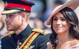 Meghan Markle và Hoàng tử Harry thất vọng vì bị tước quyền bảo trợ