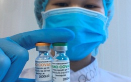 Cần 15 triệu liều vaccine cho người trưởng thành ở Hà Nội
