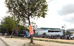 Thanh Hóa: Chủ tịch huyện chỉ đạo dẹp “chợ cóc” bủa vây Quốc lộ 45