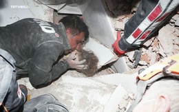 Người cha nghẹn ngào ôm hôn con gái sống sót thần kỳ sau 91 giờ bị vùi lấp bởi trận động đất từng "gây bão" MXH giờ có cuộc sống khác xưa