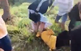 Xác minh clip cô gái nghi mang thai bị đánh, đạp vào bụng ở Tây Ninh
