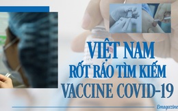 Việt Nam rốt ráo tìm kiếm vaccine COVID-19